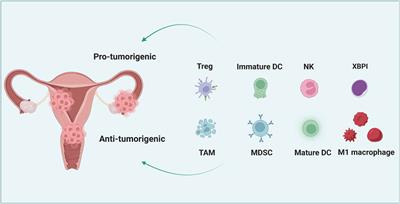 Circular RNAs in gynecologic cancers: mechanisms and implications for <mark class="highlighted">chemotherapy resistance</mark>